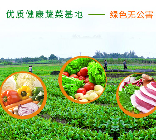 坂田網(wǎng)站設(shè)計(jì)_坂田做網(wǎng)站公司_深圳坂田做蔬菜配送類的網(wǎng)站哪家好